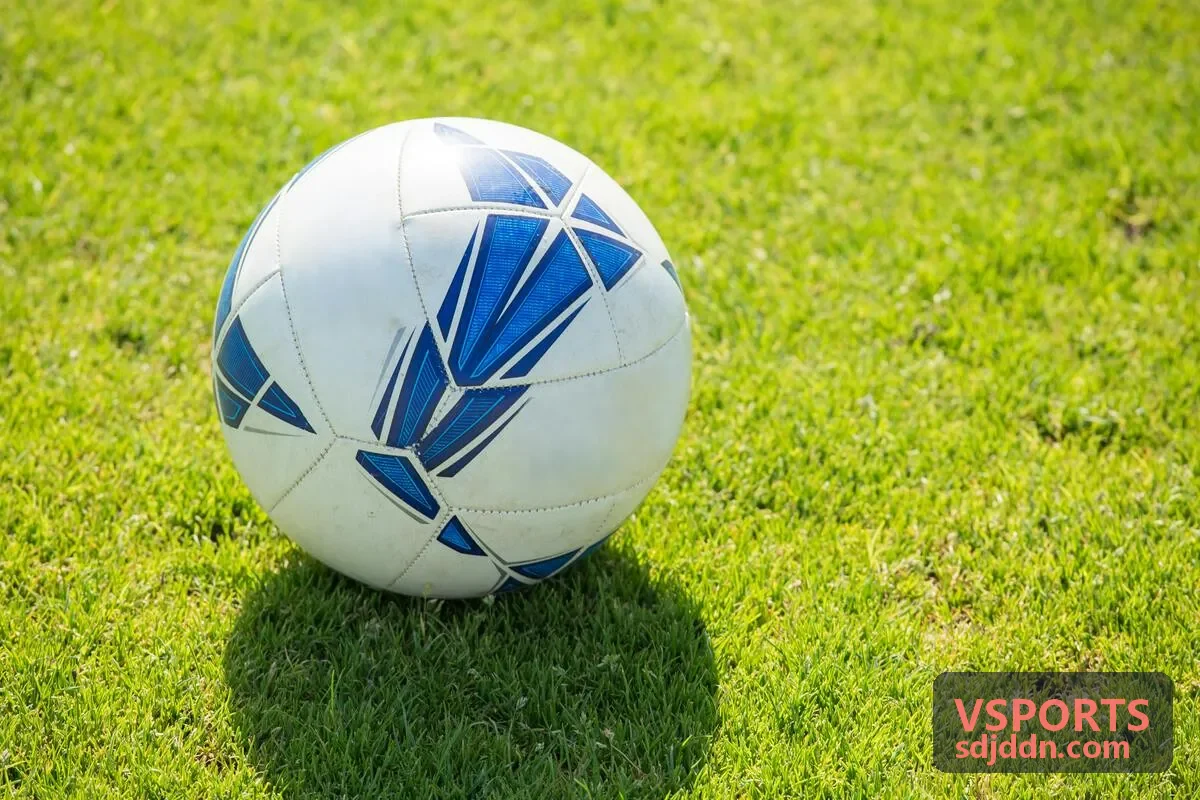 VSPORTS 客户头像