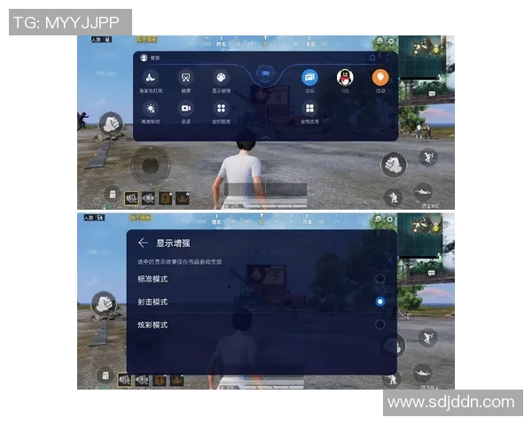 皇室足球球星荣耀征程与绿茵传奇全面解读