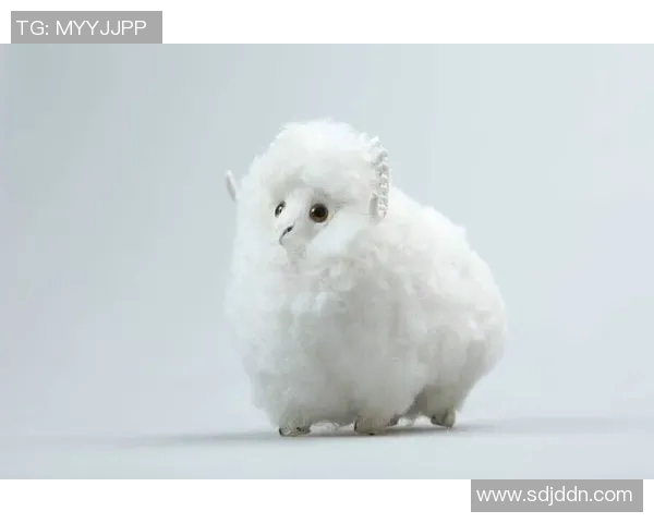 属猴的足球球星有哪些 盘点那些年为足球历史做出巨大贡献的猴年出生球员 属猴的足球球星有哪些 盘点那些年为足球历史做出巨大贡献的猴年出生球员